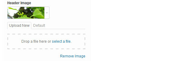 Click on Select a file