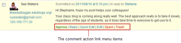 Comments action link menu items