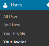 Avatar page