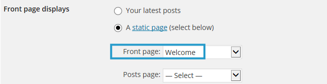 Select static front page
